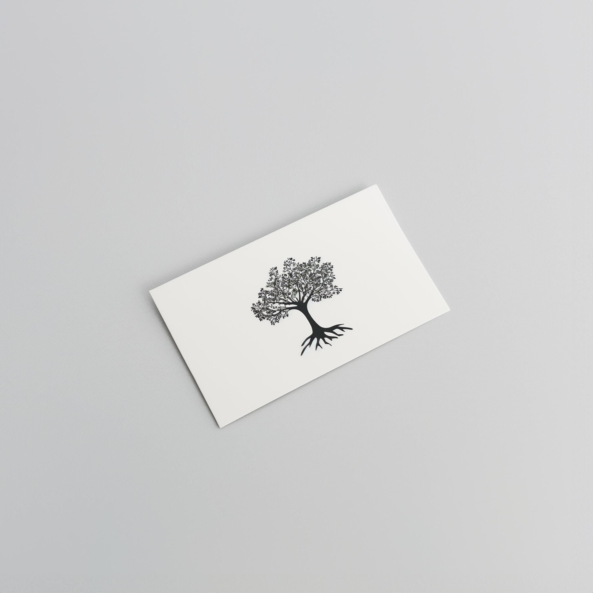 Quadro sanera